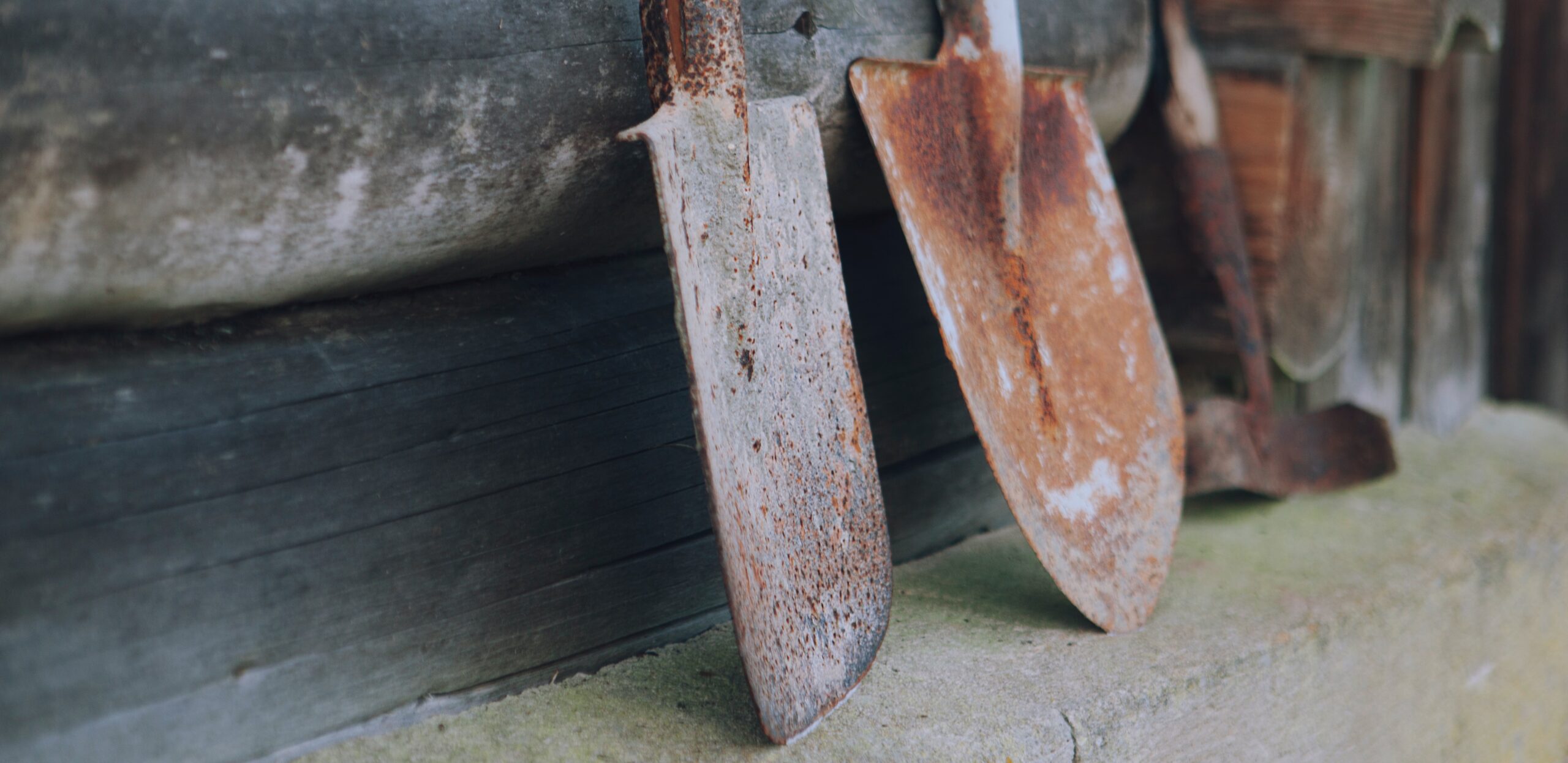 5 Simple Ways to Maintain Your Lawn Tools